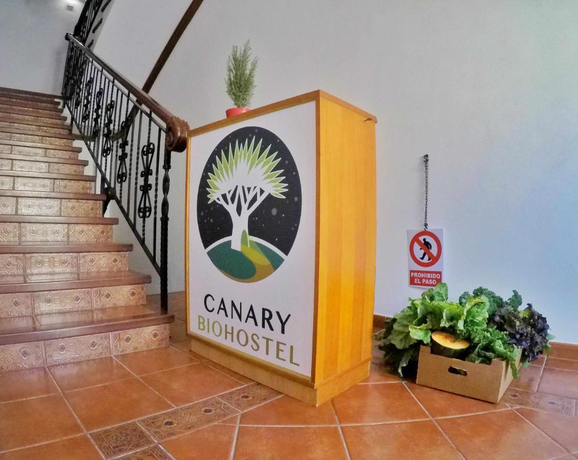 Canary Bio Hostel Tenerife Los Realejos Ngoại thất bức ảnh