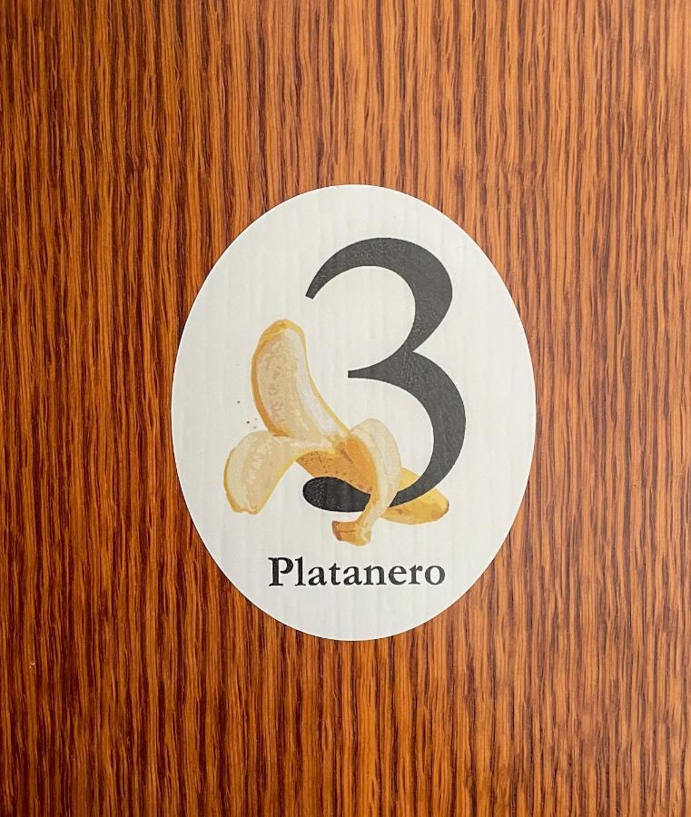 Canary Bio Hostel Tenerife Los Realejos Ngoại thất bức ảnh